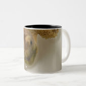 Koffiemok Tweekleurige Koffiemok (Voorkant rechts)