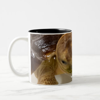 Koffiemok Tweekleurige Koffiemok