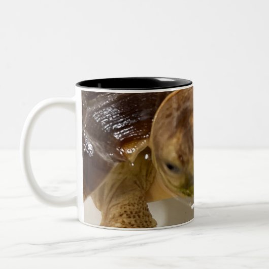 Koffiemok Tweekleurige Koffiemok (Links)