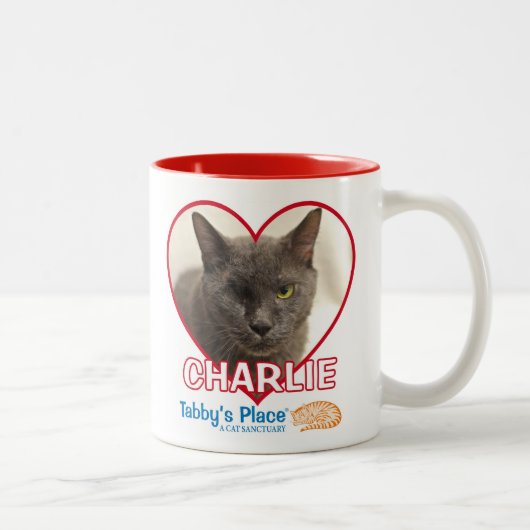 KoffieMok Tweekleurige Koffiemok (Rechts)