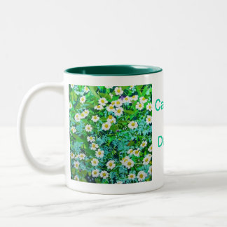 KoffieMok Tweekleurige Koffiemok