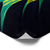 Koffieplantage - Canvas Art Print (Hoek)