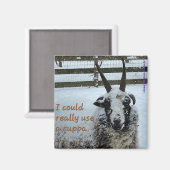 Koffieschaap Magnet #1 - Edel (Voorkant / Achterkant)