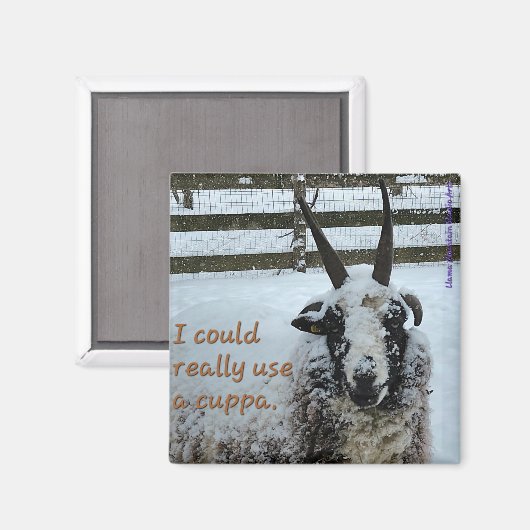 Koffieschaap Magnet #1 - Edel (Voorkant / Achterkant)