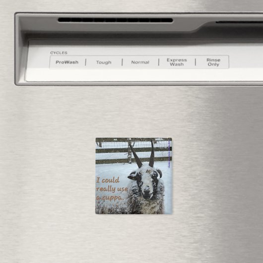 Koffieschaap Magnet #1 - Edel (Insitu (Vaatwasser))