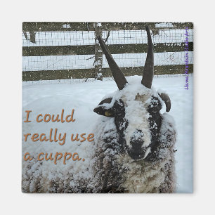 Koffieschaap Magnet #1 - Edel