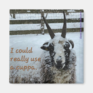 Koffieschaap Magnet #1 - Edel