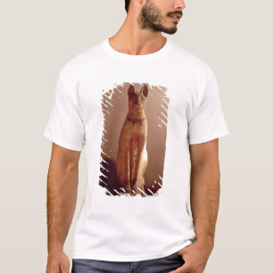 Koffine van een kat die beschermd wordt door de go t-shirt