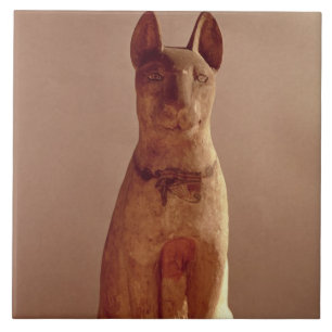 Koffine van een kat die beschermd wordt door de go tegeltje