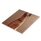 Koffine van een kat die beschermd wordt door de go tegeltje (Zijkant)