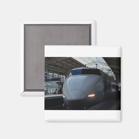 Kogel treinbesturing magneet (Voorkant / Achterkant)