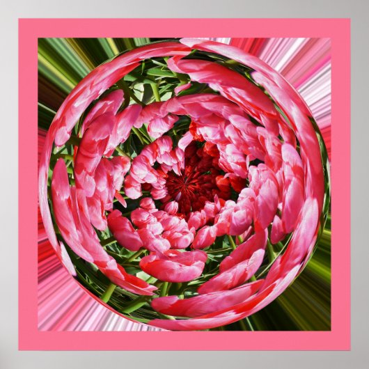 Kogelbal van tulpen florale kunst poster (Voorkant)