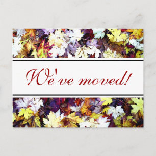 Kogelbladeren, bewegende briefkaarten   Najaarsscè