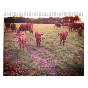 Kogelkalender Kalender