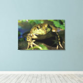 Kogelkikker. Canvas Afdruk (Insitu (Houten vloer))