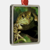 Kogelkikker. Metalen Ornament (Rechts)