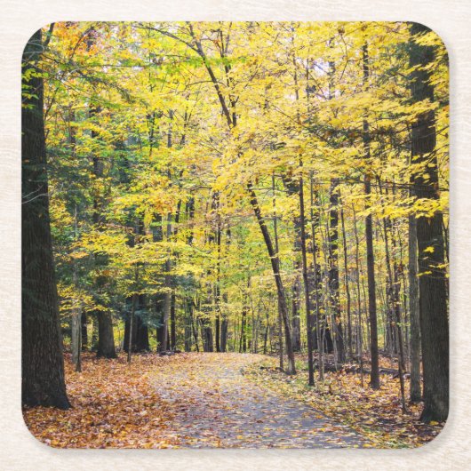 Kogelkleuren in het Nationaal Park Cuyahoga Kartonnen Onderzetters (Voorkant)