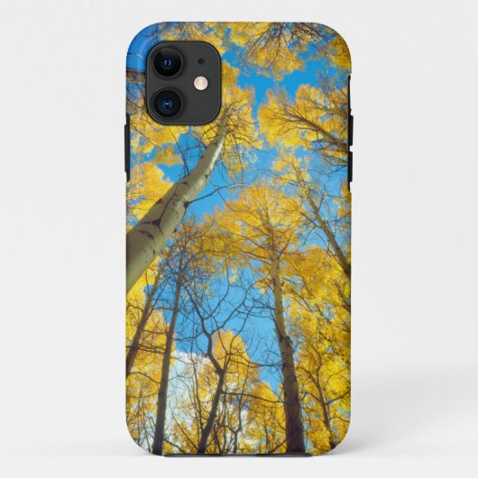 Kogelkleuren van Aspen-bomen 2 Case-Mate iPhone Case (Achterkant)