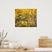 Kogelkleuren van Aspen-bomen 3 Poster (Keuken)