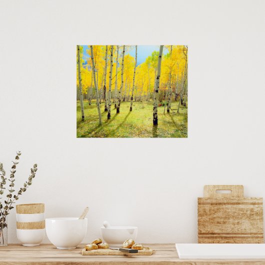 Kogelkleuren van Aspen-bomen 4 Poster (Keuken)