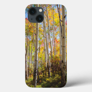Kogelkleuren van Aspen-bomen 5 iPhone 13 Hoesje