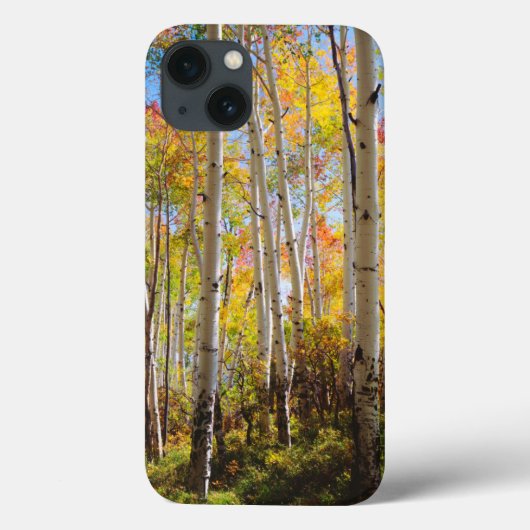 Kogelkleuren van Aspen-bomen 5 Case-Mate iPhone Case (Achterkant)