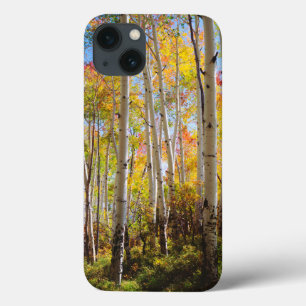 Kogelkleuren van Aspen-bomen 5 iPhone 13 Hoesje