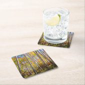 Kogelkleuren van Aspen-bomen 5 Kartonnen Onderzetters (Insitu)