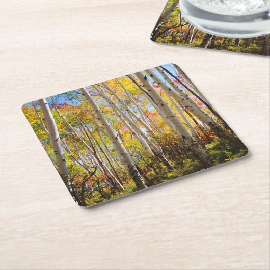 Kogelkleuren van Aspen-bomen 5 Kartonnen Onderzetters (Schuin)