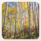 Kogelkleuren van Aspen-bomen 5 Kartonnen Onderzetters (Voorkant)