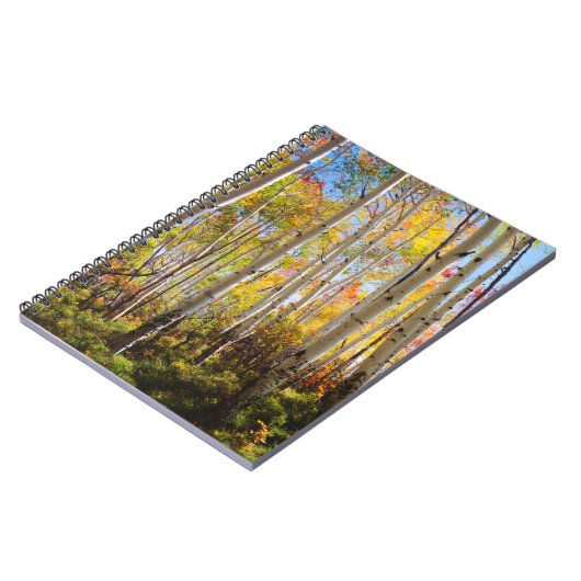 Kogelkleuren van Aspen-bomen 5 Notitieboek (Linkerzijde)