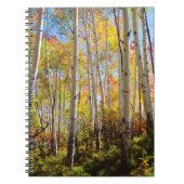 Kogelkleuren van Aspen-bomen 5 Notitieboek (Voorkant)