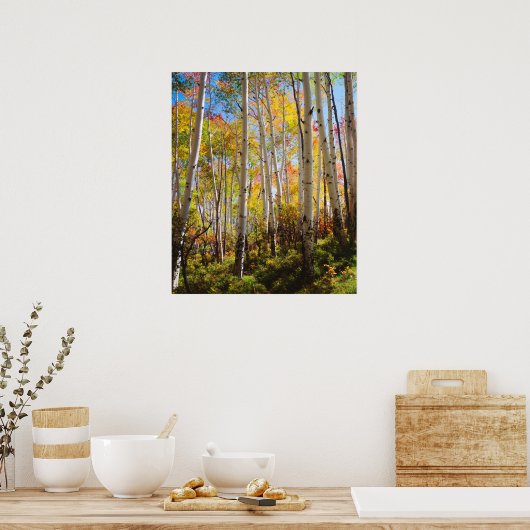 Kogelkleuren van Aspen-bomen 5 Poster (Keuken)
