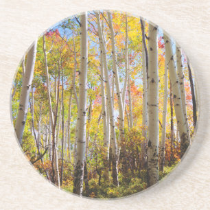 Kogelkleuren van Aspen-bomen 5 Zandsteen Onderzetter