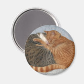 Kogelknokheid Magneet (Voorkant / Achterkant)