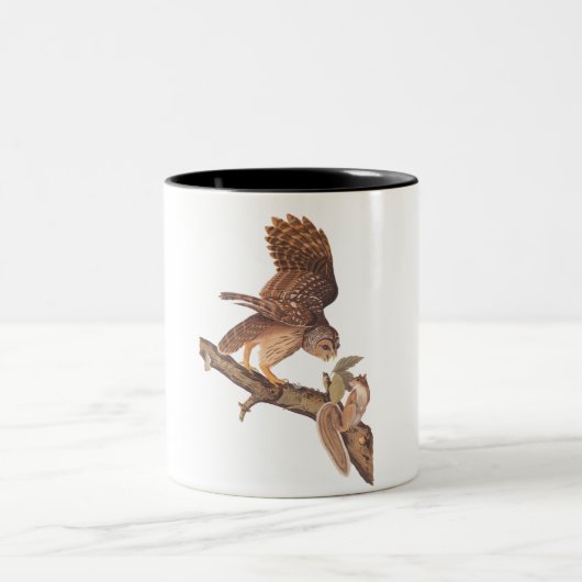 Kogelknollen en eekhoorn Audubon Odd Couple Tweekleurige Koffiemok (Center)