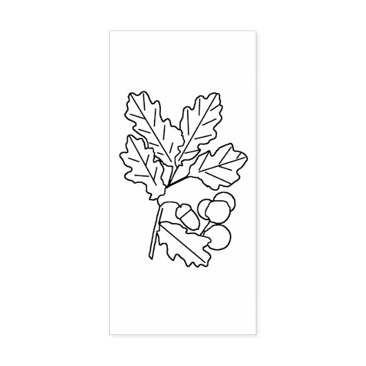 Kogelmoerassen en -eikels rubberstempel (Afrduk)