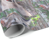 Kogelpapier voor de mantel cadeaupapier (Rol Hoek)