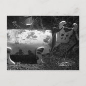 Kogelpostvak Briefkaart (Voorkant)