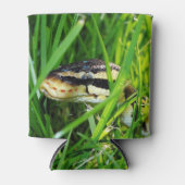 Kogelpython in de gras blikjeskoeler (Voorkant)