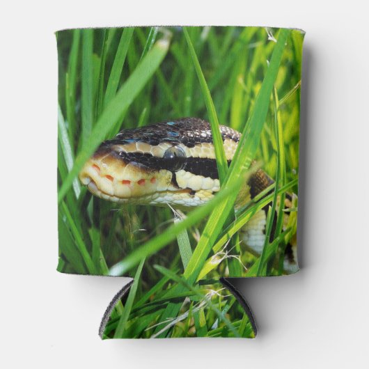 Kogelpython in de gras blikjeskoeler (Voorkant)