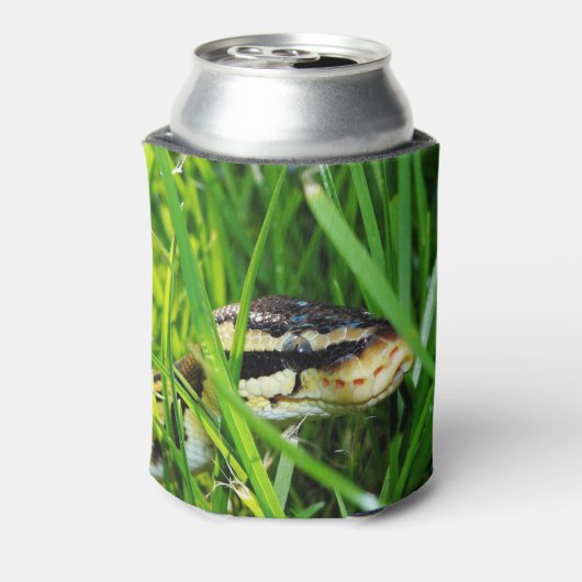 Kogelpython in de gras blikjeskoeler (Blikje Achterkant)