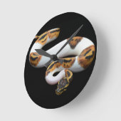 kogelpython ronde klok (Hoek)