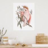 Kogelroze kakkerlakken  decor-poster poster (Keuken)