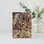 Kogels, munitie briefkaart (Staand voorkant)