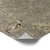 Kogelslang zonder camera poster (Hoek)