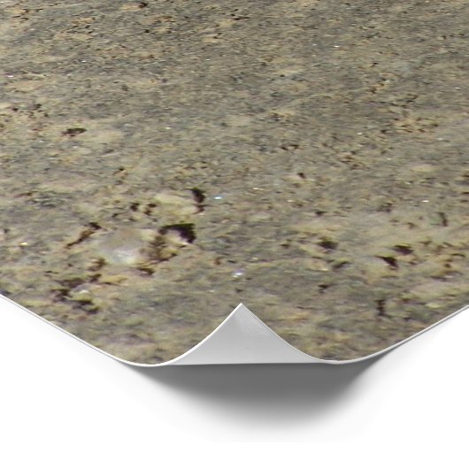 Kogelslang zonder camera poster (Hoek)