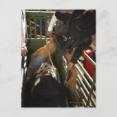 Kogelsnoer op de stier in de schil briefkaart (Voorkant)