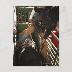 Kogelsnoer op de stier in de schil briefkaart