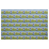 Kogelstoelen in het Noord-Zee Stof (Fat Quarter)